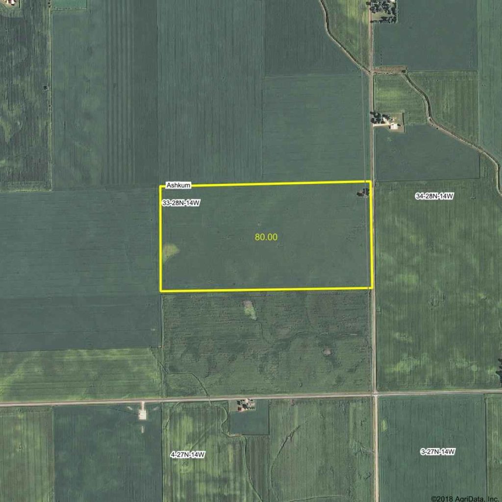 80 Acres Iroquois County IL - Illinois & Indiana Farm Real Estate