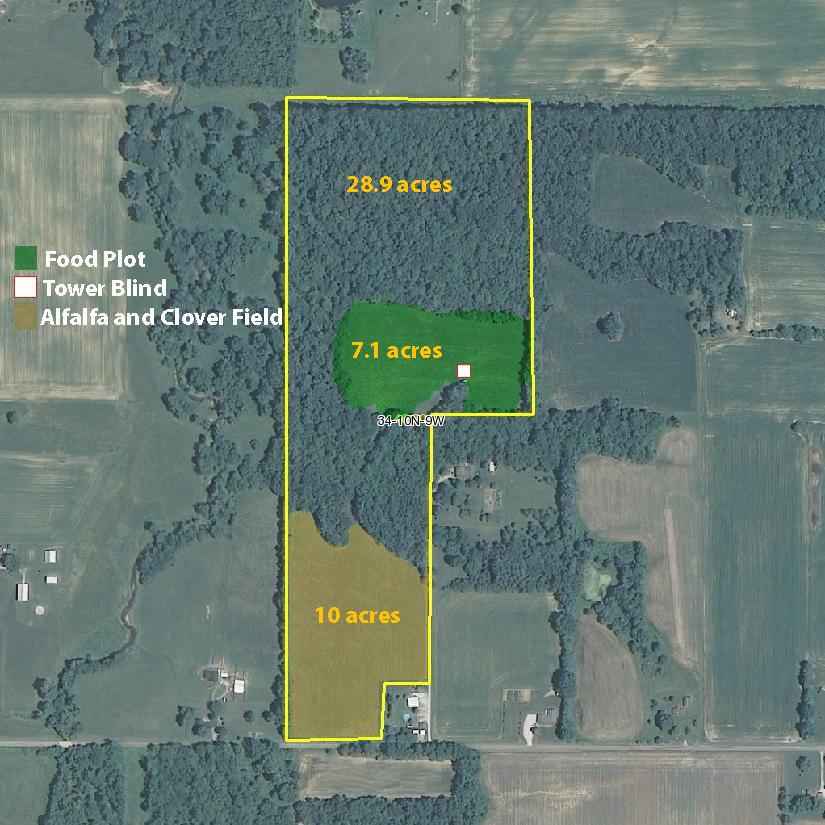 46 Acres Vigo County IN - Illinois & Indiana Farm Real Estate