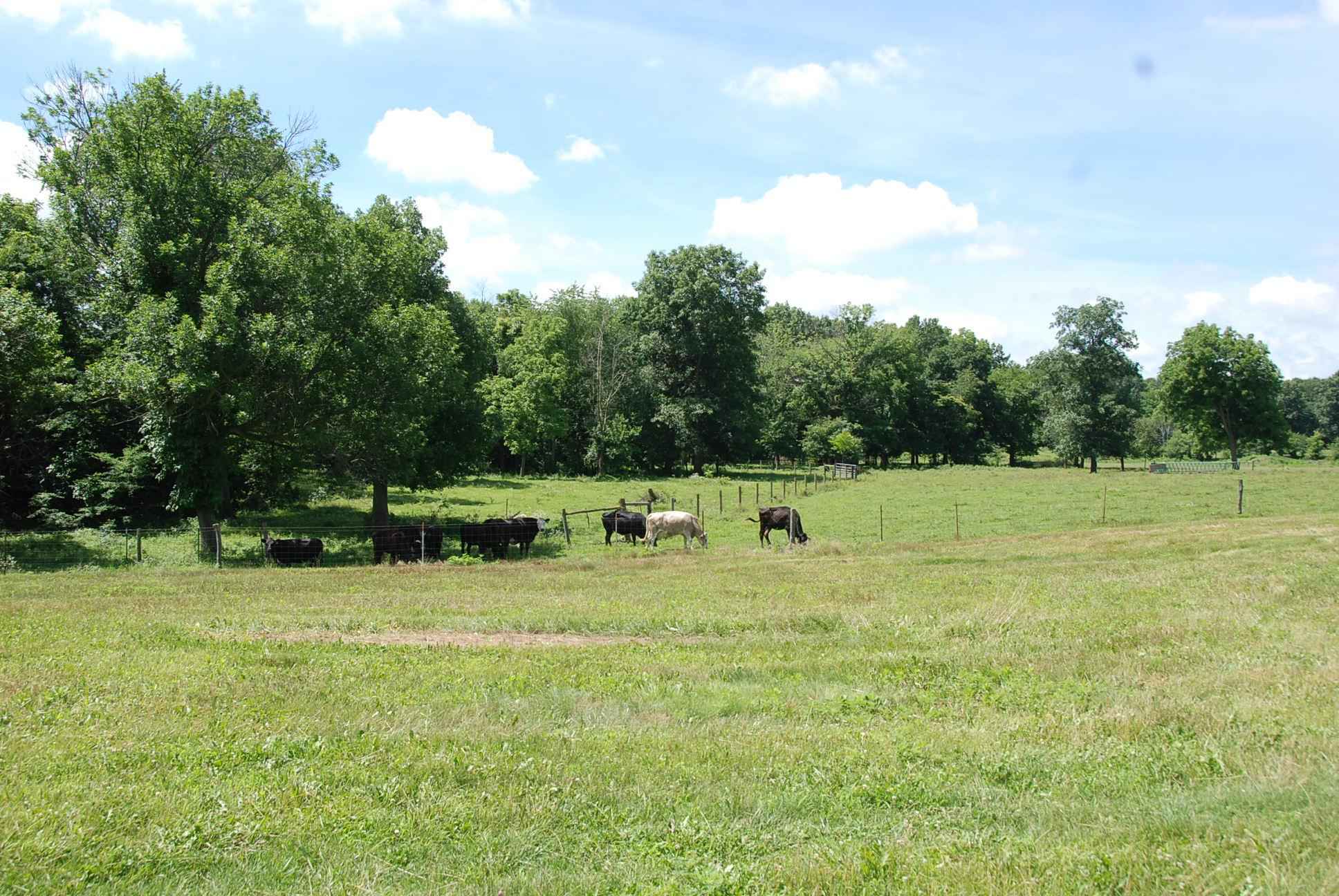 43 Acres Fountain County IN Illinois & Indiana Farm Real Estate