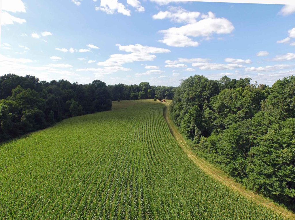 125.9 Acres Owen County IN Illinois & Indiana Farm Real Estate